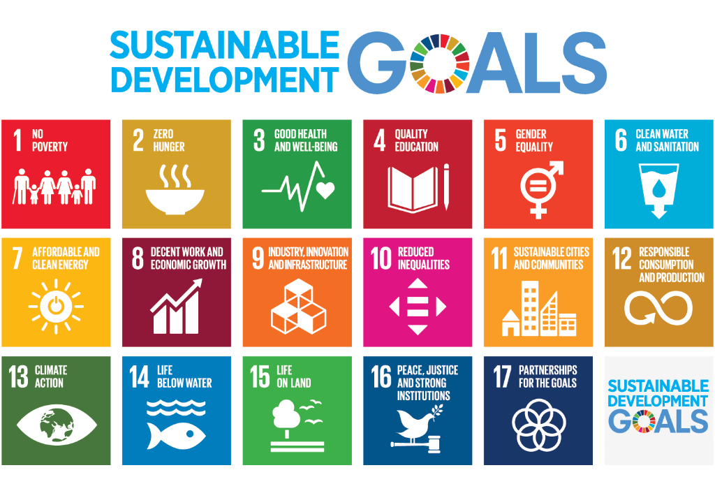 The UNs Sustainable Development Goals